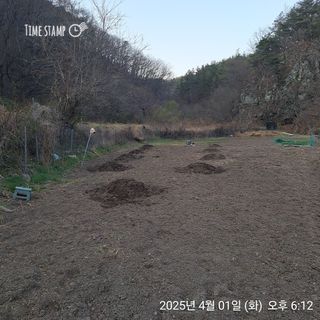 이말분님의 기타작물 · 영농일지 작성글 사진