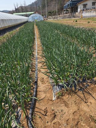 참살이님의 기타작물 · 영농일지 작성글 사진