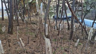 이철수님의 기타작물 · 영농일지 작성글 사진