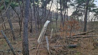 이철수님의 기타작물 · 영농일지 작성글 사진