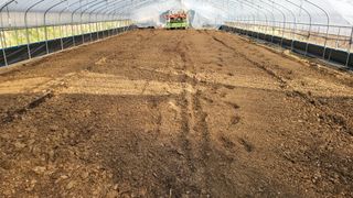 권병국님의 고추 · 영농일지 작성글 사진