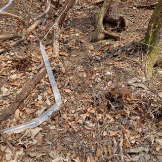 연국흠님의 기타작물 · 영농일지 작성글 사진