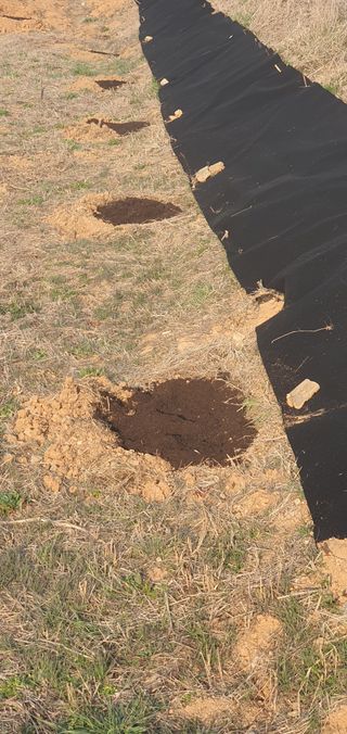 전주이상권님의 기타작물 · 영농일지 작성글 사진