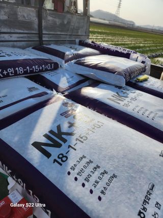 박종권님의 마늘 · 영농일지 작성글 사진