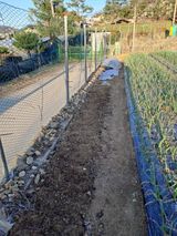 팜모닝 기타작물·영농일지 게시글 이미지