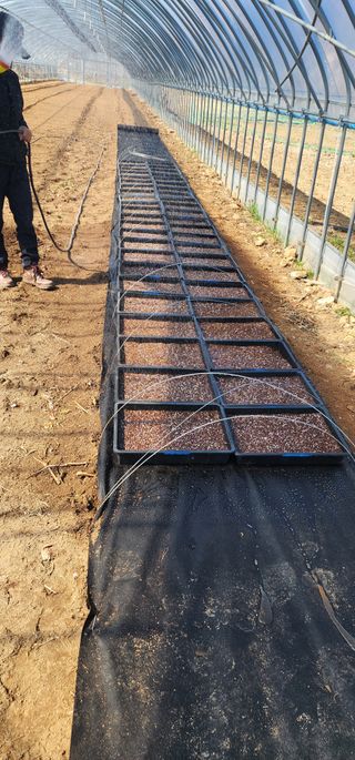 김제일님의 기타작물 · 영농일지 작성글 사진