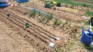 김영규님의 상추 · 영농일지 작성글 사진