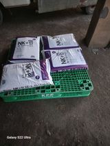 팜모닝 마늘·영농일지 게시글 이미지