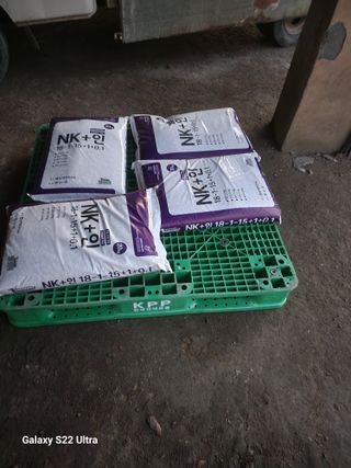 박종권님의 마늘 · 영농일지 작성글 사진