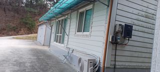 자두17509님의 매실 · 영농일지 작성글 사진