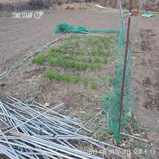 이말분님의 기타작물 · 영농일지 작성글 사진