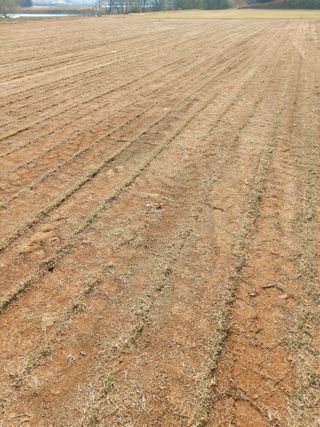 박균성님의 기타작물 · 영농일지 작성글 사진