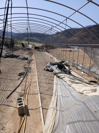 이광희님의 기타작물 · 영농일지 작성글 사진