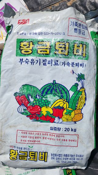 늘푸른 농장주님의 파 · 영농일지 작성글 사진