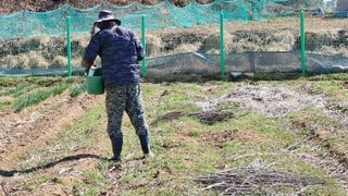 경달현님의 고추 · 영농일지 작성글 사진