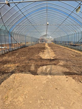 왕자농원님의 고추 · 영농일지 작성글 사진