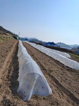 팜모닝 기타작물·영농일지 게시글 이미지