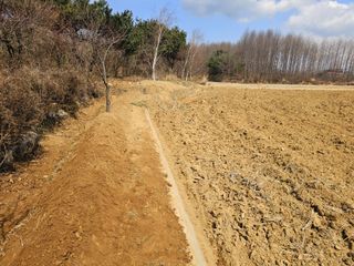 이미옥님의 기타작물 · 영농일지 작성글 사진