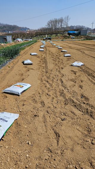 이순정님의 기타작물 · 영농일지 작성글 사진