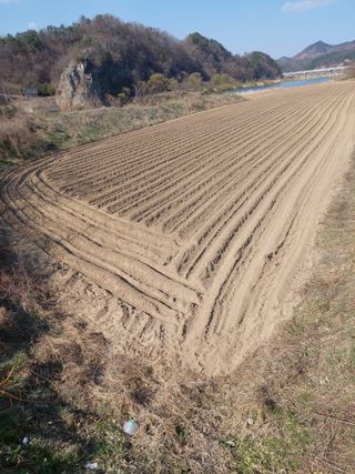 박진하님의 기타작물 · 영농일지 작성글 사진