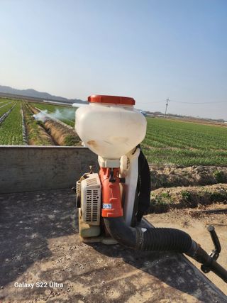 박종권님의 마늘 · 영농일지 작성글 사진