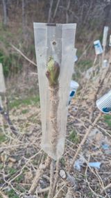 팜모닝 기타작물·영농일지 게시글 이미지