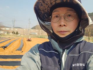 심기정님의 고구마 · 영농일지 작성글 사진