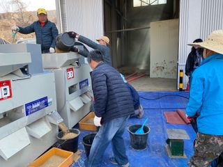 오작교농장님의 벼 · 영농일지 작성글 사진