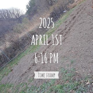 이말분님의 기타작물 · 영농일지 작성글 사진