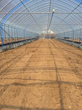 왕자농원님의 고추 · 영농일지 작성글 사진