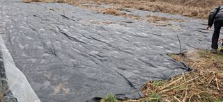 김제선:양평읍회현리님의 기타작물 · 영농일지 작성글 사진