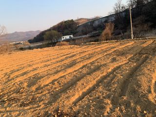 백용구님의 두릅 · 영농일지 작성글 사진