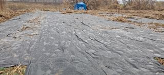 김제선:양평읍회현리님의 기타작물 · 영농일지 작성글 사진