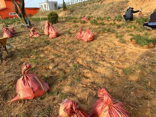 오성균님의 기타작물 · 영농일지 작성글 사진