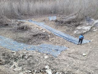 박헌님의 기타작물 · 영농일지 작성글 사진