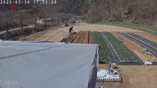 포청천님의 기타작물 · 영농일지 작성글 사진