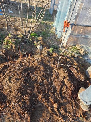 정민지호맘님의 기타작물 · 영농일지 작성글 사진