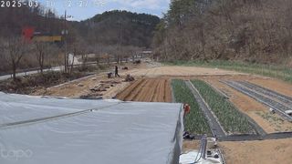 포청천님의 기타작물 · 영농일지 작성글 사진