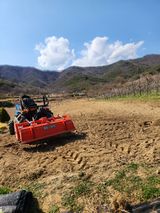 팜모닝 기타작물·영농일지 게시글 이미지