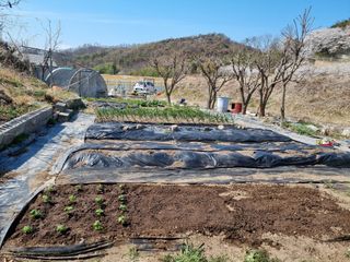 낙엽교목류14371님의 기타작물 · 영농일지 작성글 사진
