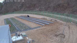 포청천님의 감자 · 영농일지 작성글 사진