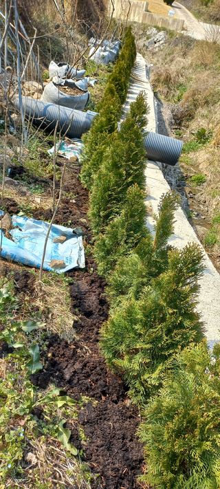 정석채님의 기타작물 · 영농일지 작성글 사진