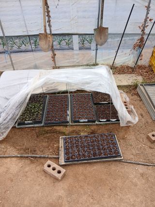 백영호님의 기타작물 · 영농일지 작성글 사진