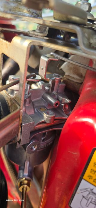 ♡청심전유삼♡님의 기타작물 · 영농일지 작성글 사진