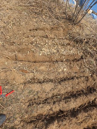 정민지호맘님의 기타작물 · 영농일지 작성글 사진