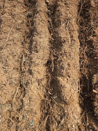 정민지호맘님의 기타작물 · 영농일지 작성글 사진