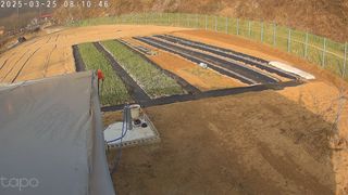 포청천님의 양파 · 영농일지 작성글 사진