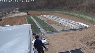 포청천님의 기타작물 · 영농일지 작성글 사진