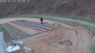 포청천님의 감자 · 영농일지 작성글 사진