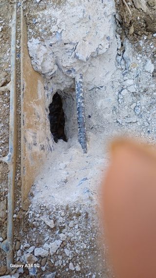 박원용님의 기타작물 · 영농일지 작성글 사진